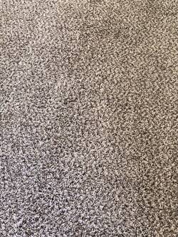 Carpet Cleaning in Lakewood, Colorado by Dr. Bubbles LLC