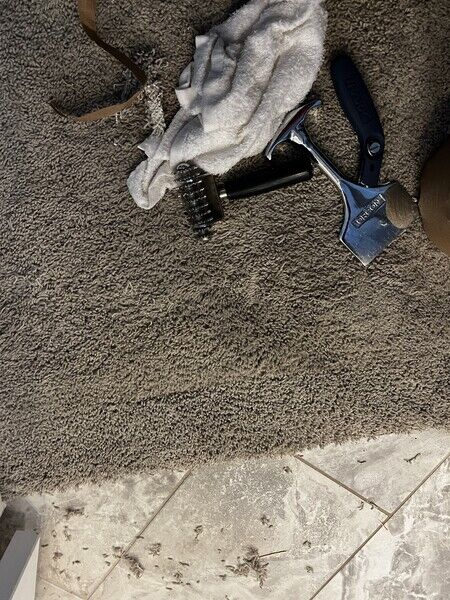 Carpet Stretching & Repair in Arvada, CO (3)