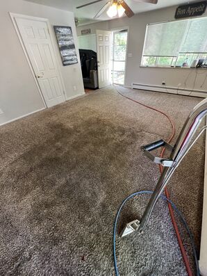 Carpet Cleaning in Denver, CO (1)