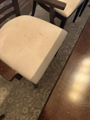 Upholstery Cleaning Services Golden, CO (2)