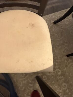 Upholstery Cleaning Services Golden, CO (3)