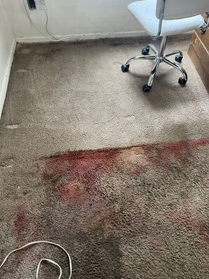 Carpet Cleaning Services in Fort Logan, CO (2)